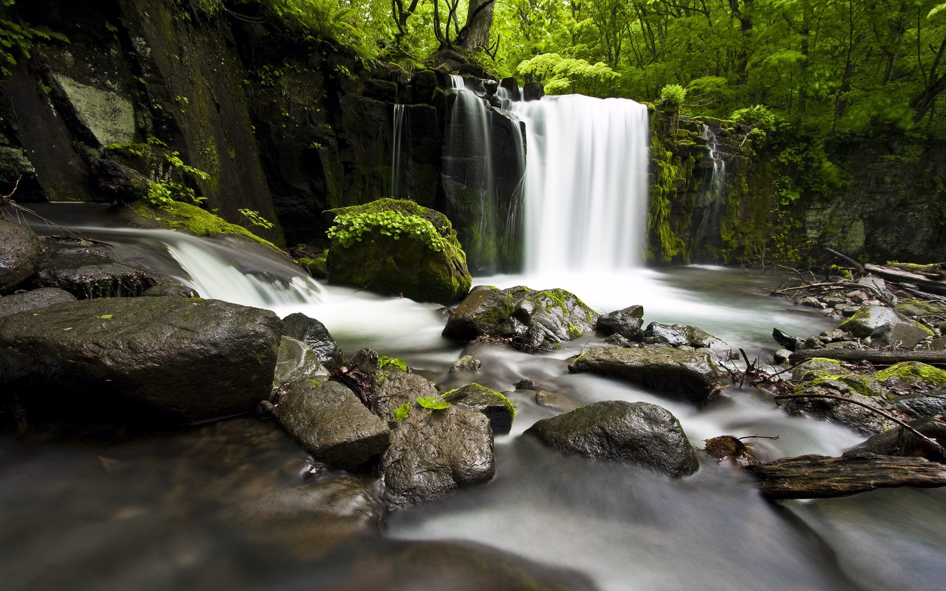 waterfall stones plants water