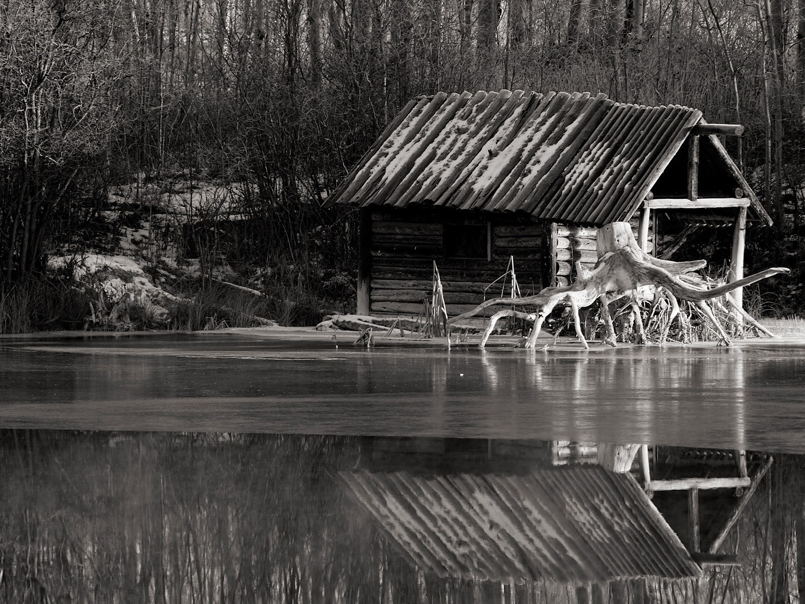 noir et blanc rivière racine