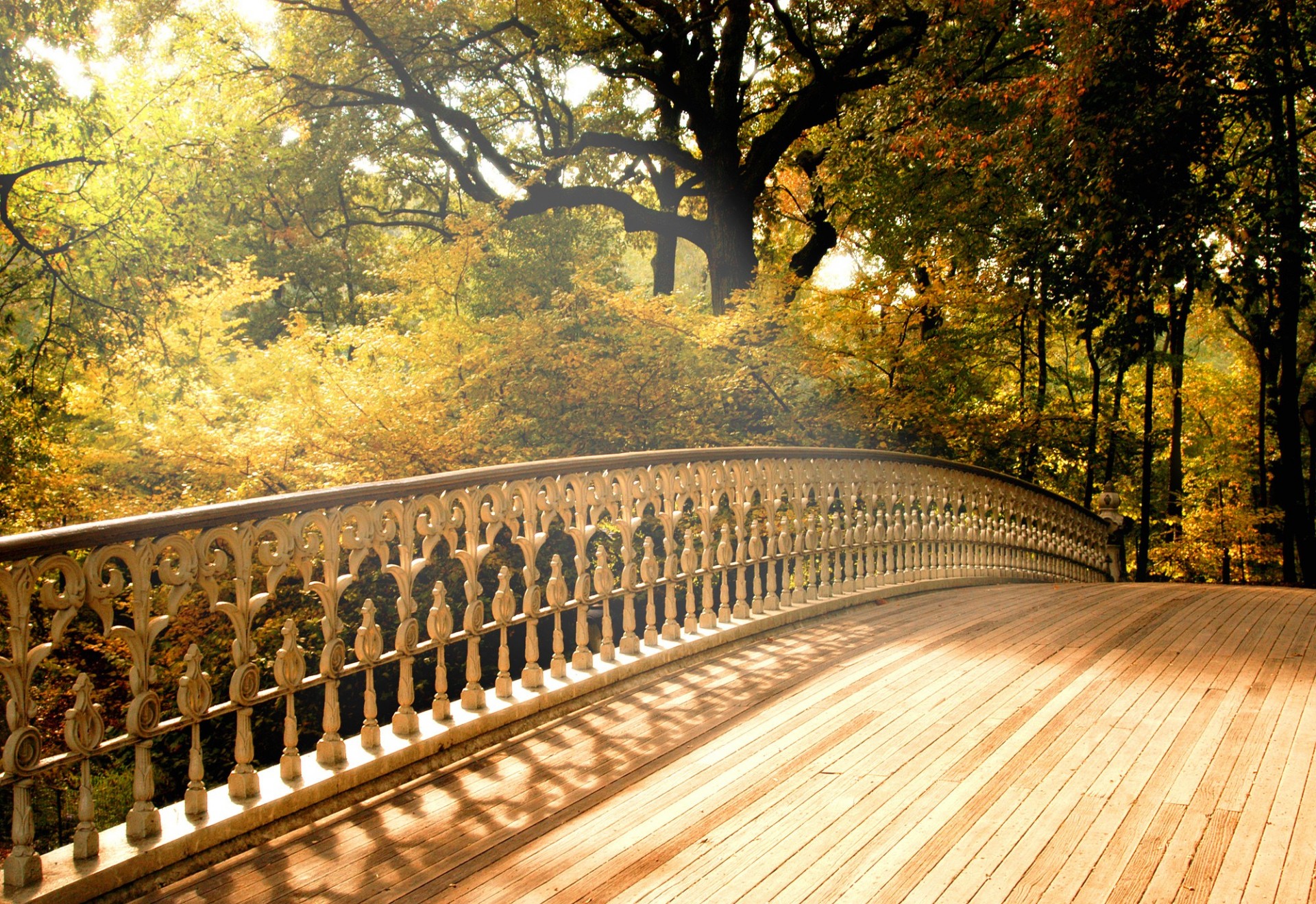 brücke herbst bäume