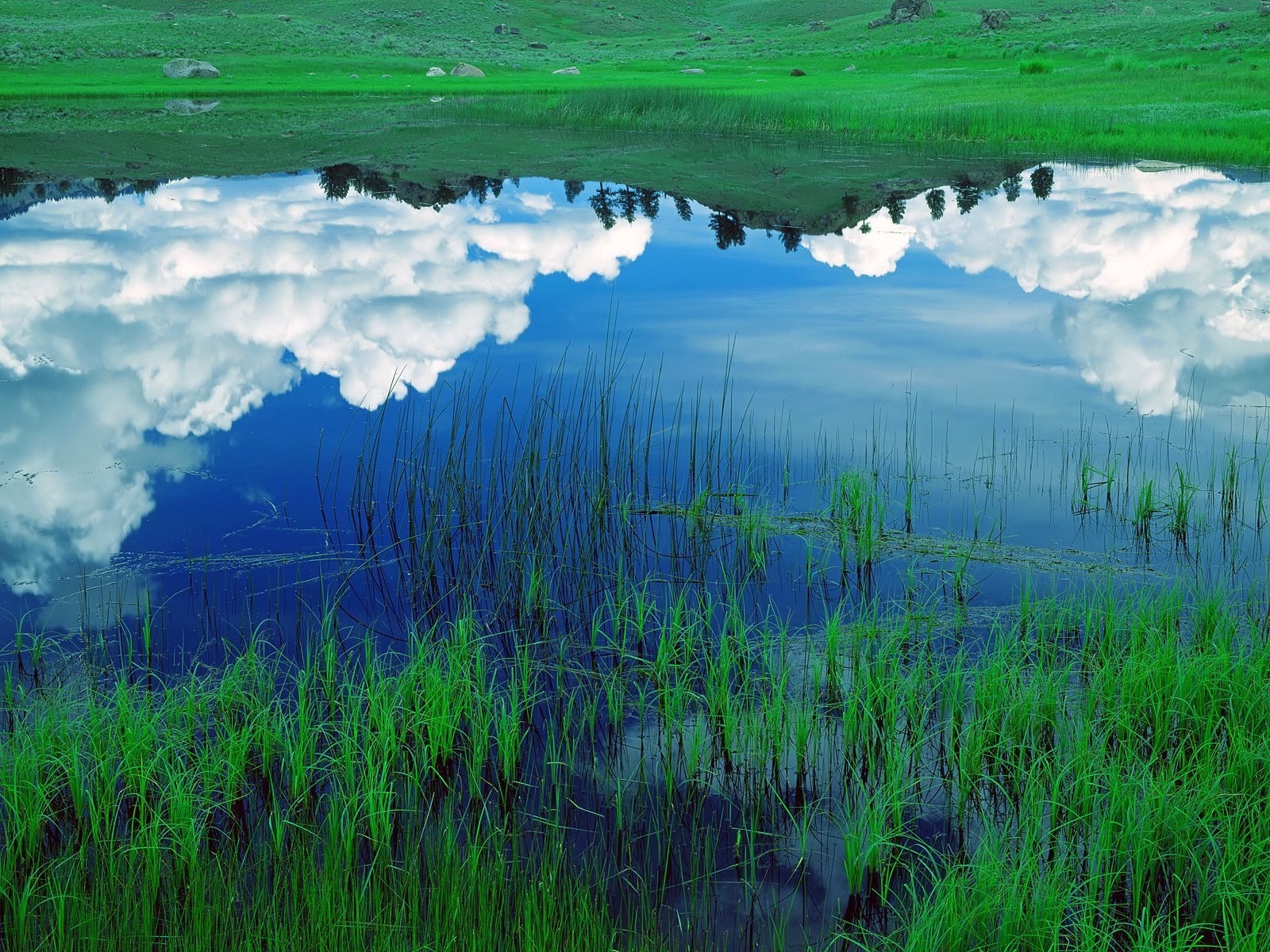 nubes reflexión lago hierba