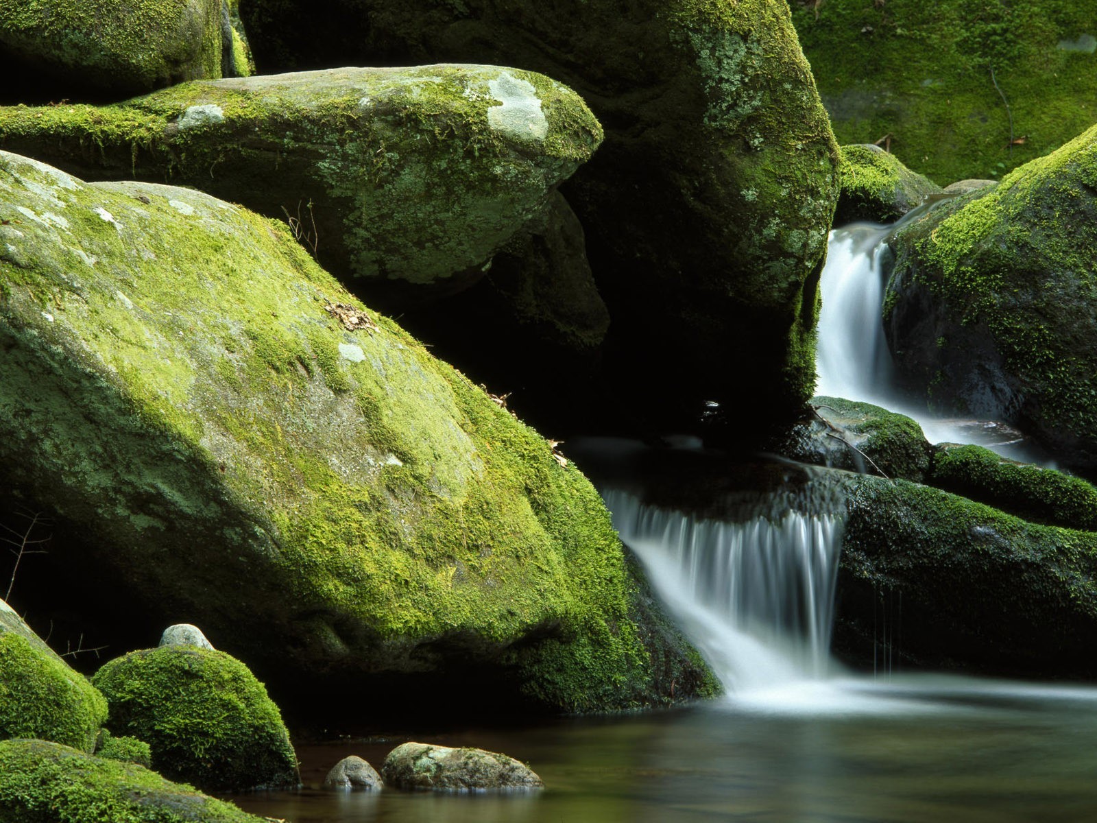 piedras musgo agua