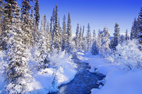 Foresta delle fiabe innevate e fiume