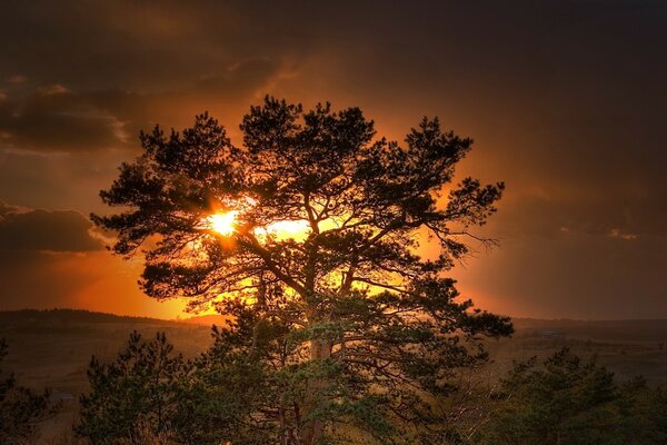 Schöner Sonnenuntergang am Abend