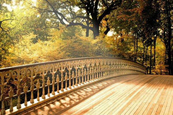 A bridge running into the distance along the trees