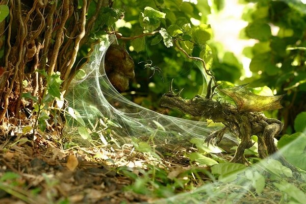 Toile d araignée blanche sur l herbe verte