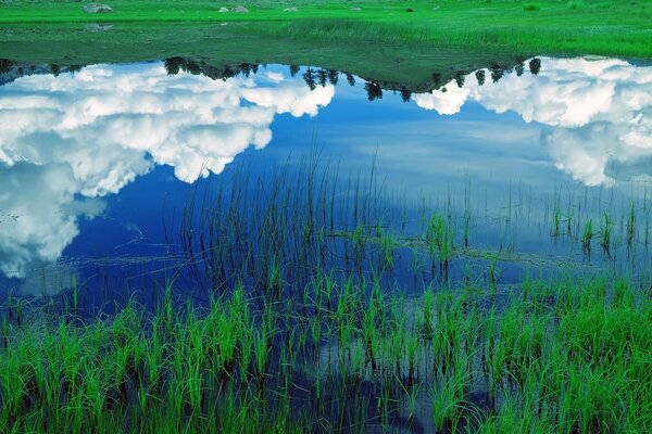 Reflejo de las nubes en un lago con hierba verde