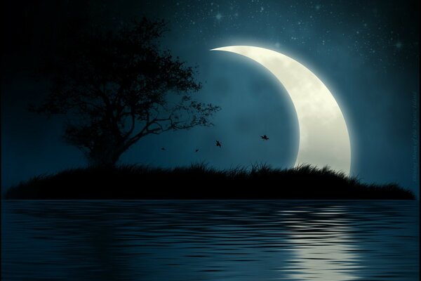 Nocna Wyspa. Księżyc i gwiazdy