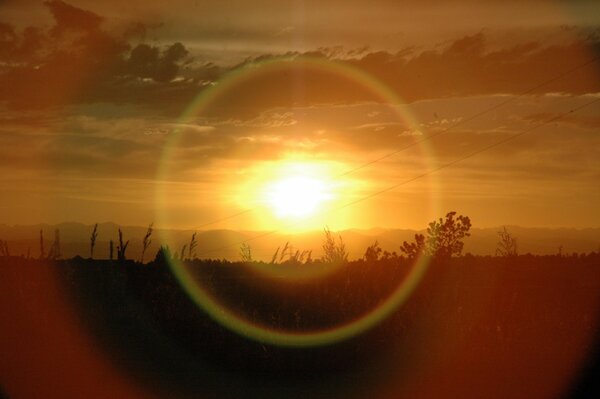 Bellissimo tramonto sul campo