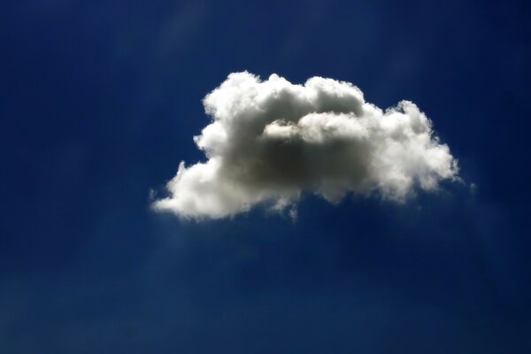 A cloud in the blue sky. One cloud