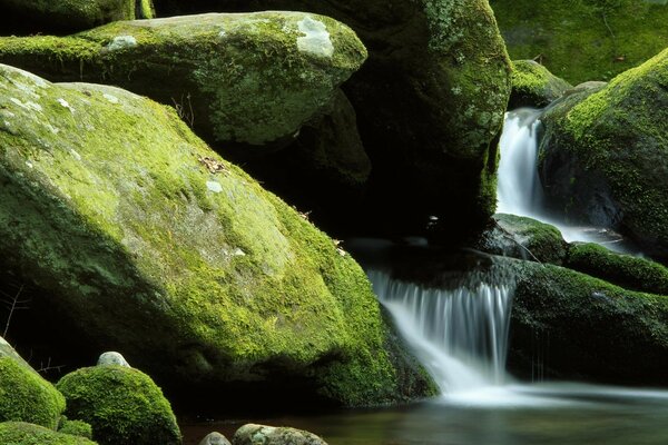 Wasserfall mit Steinen mit Moos