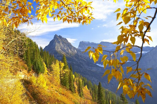 Viaggio nel Montana al Glacier autumn park