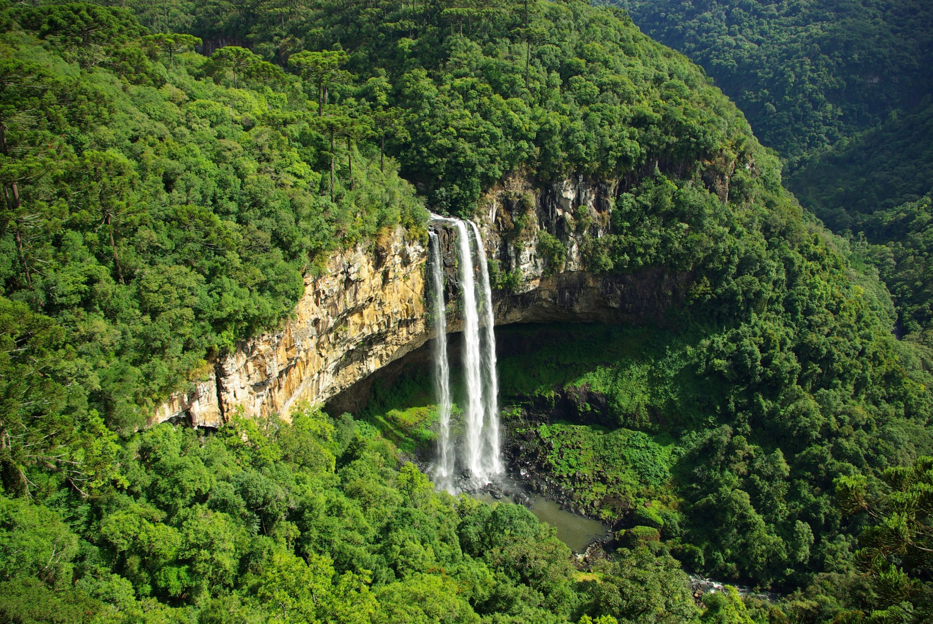 cascada vegetación montañas