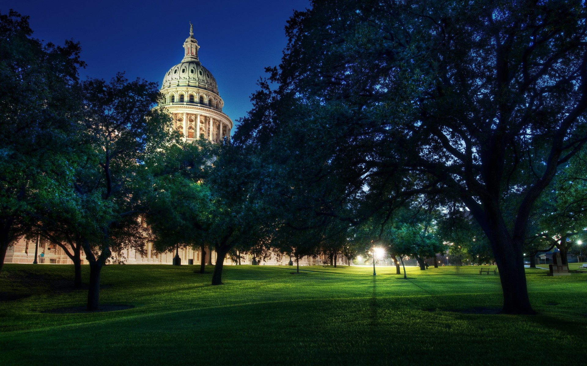 alberi campidoglio austin