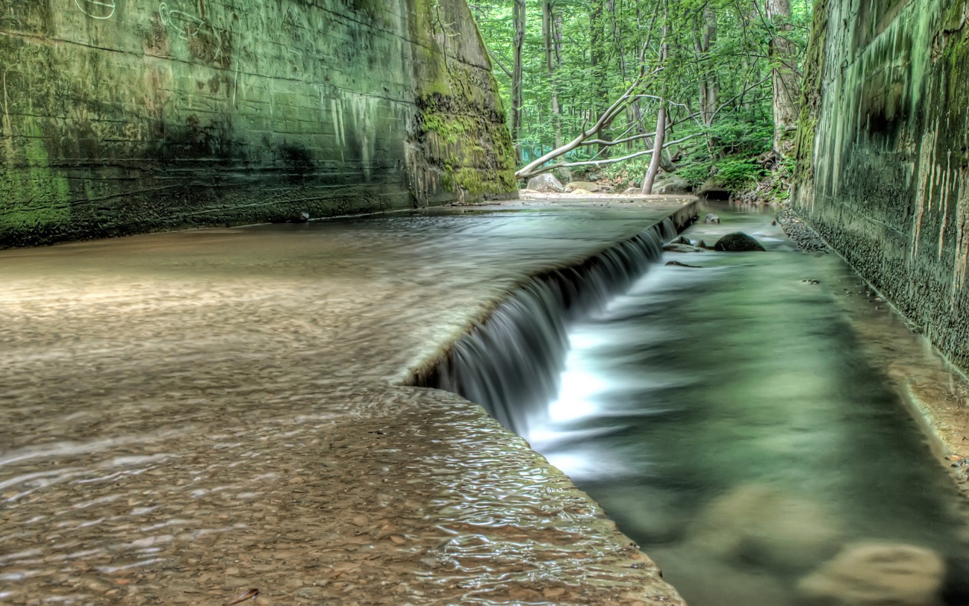 verde pareti acqua