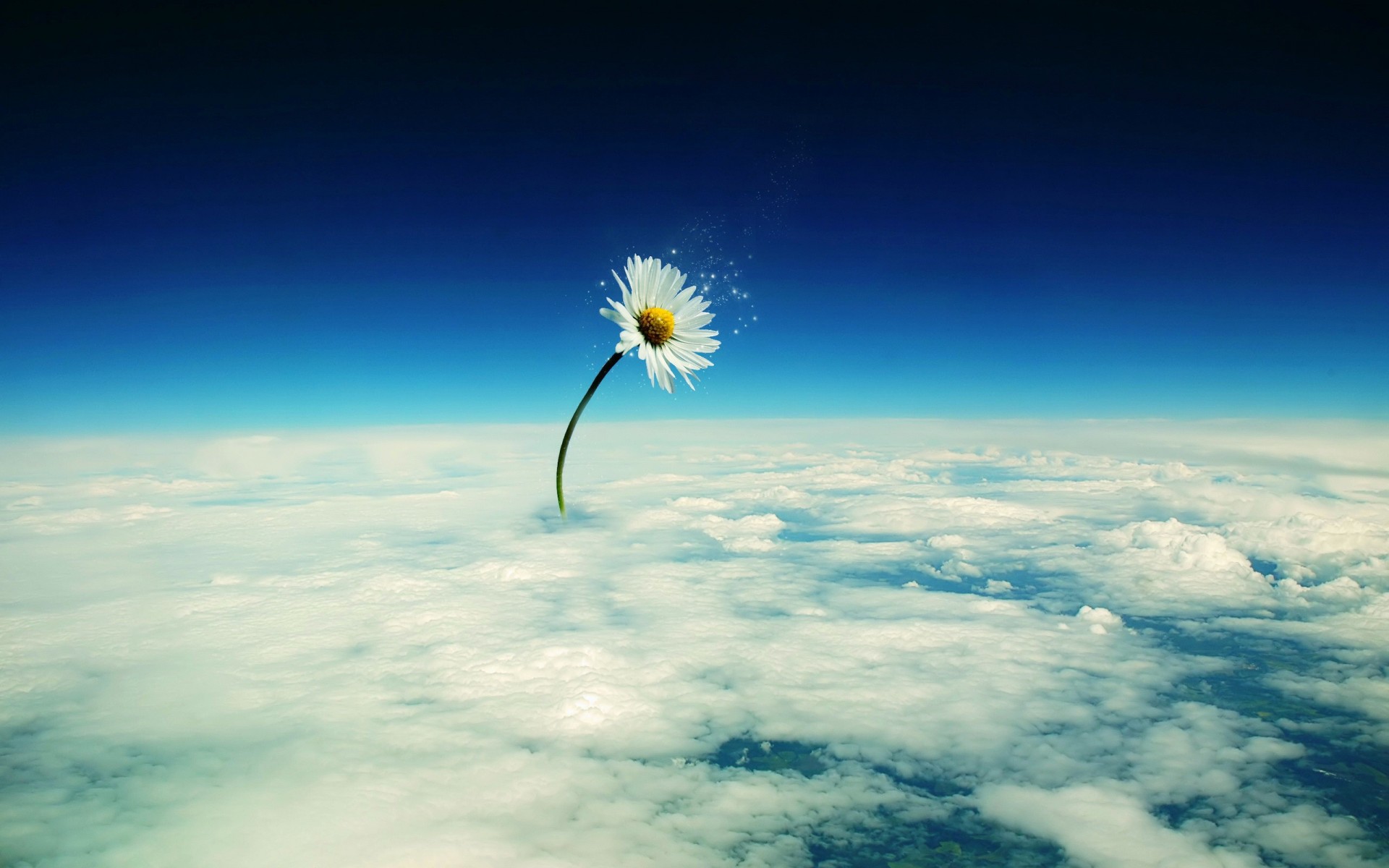 nubes flor tratamiento