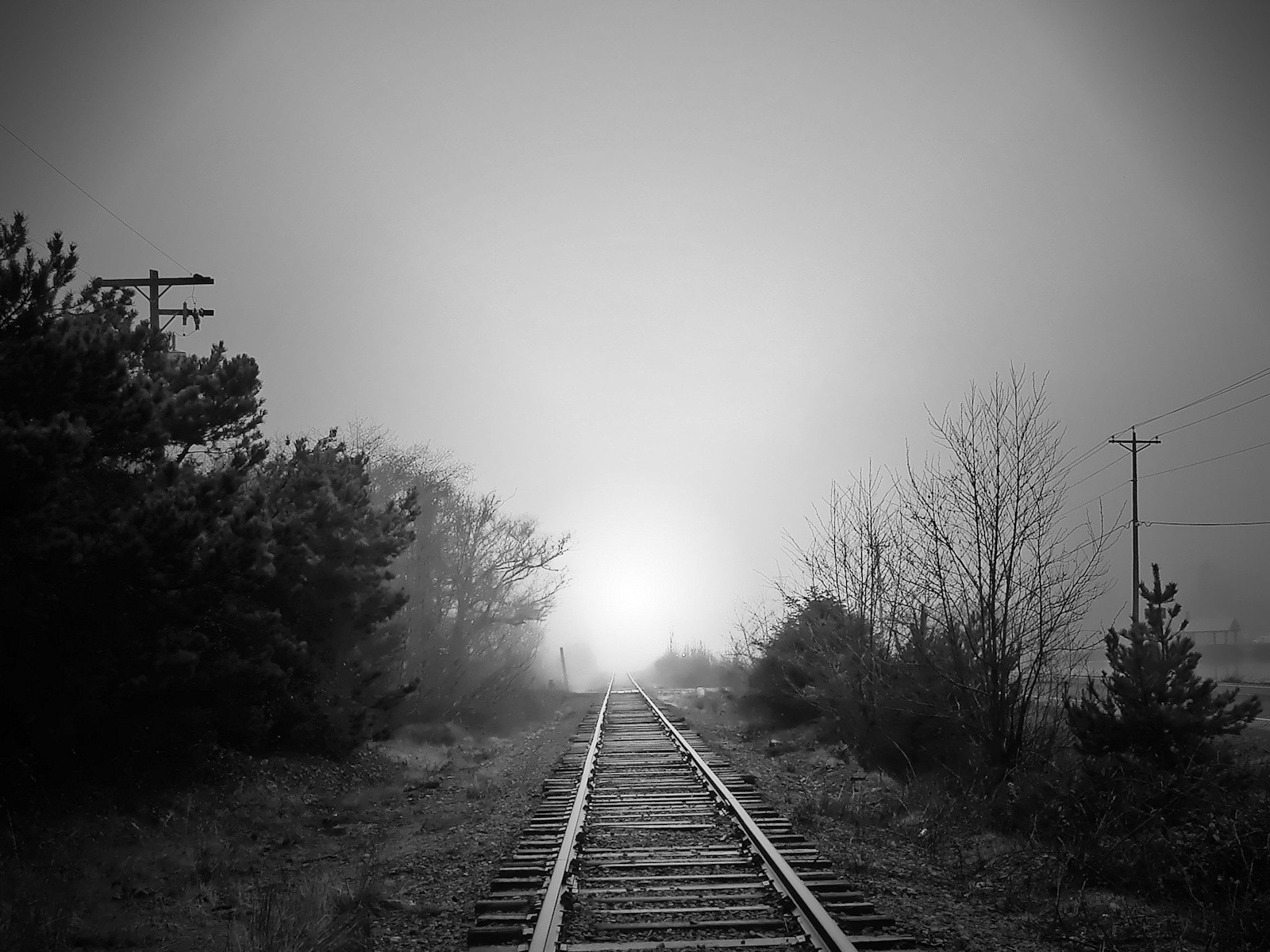 blanco y negro ferrocarril carretera niebla