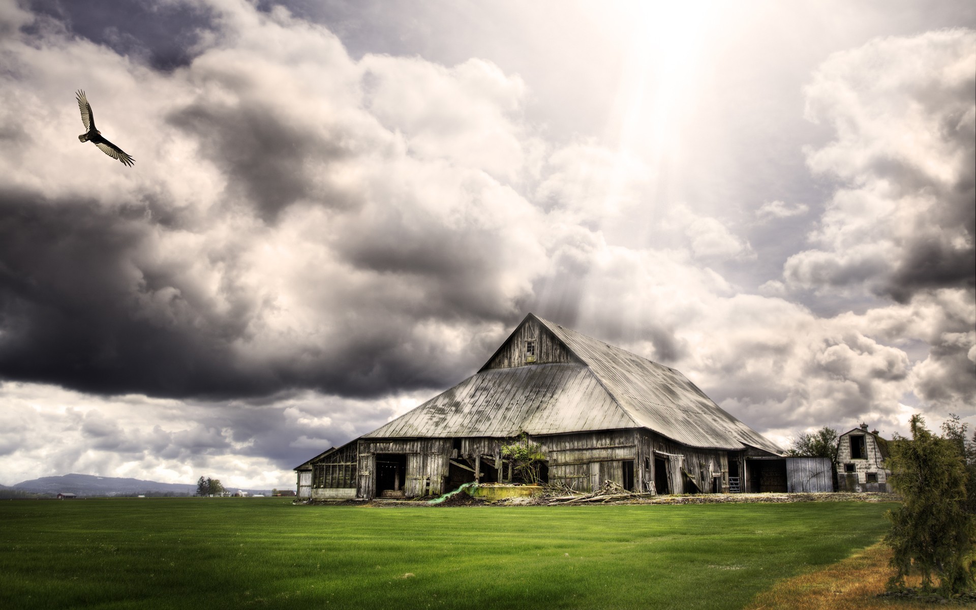 grange herbe oiseau nuages