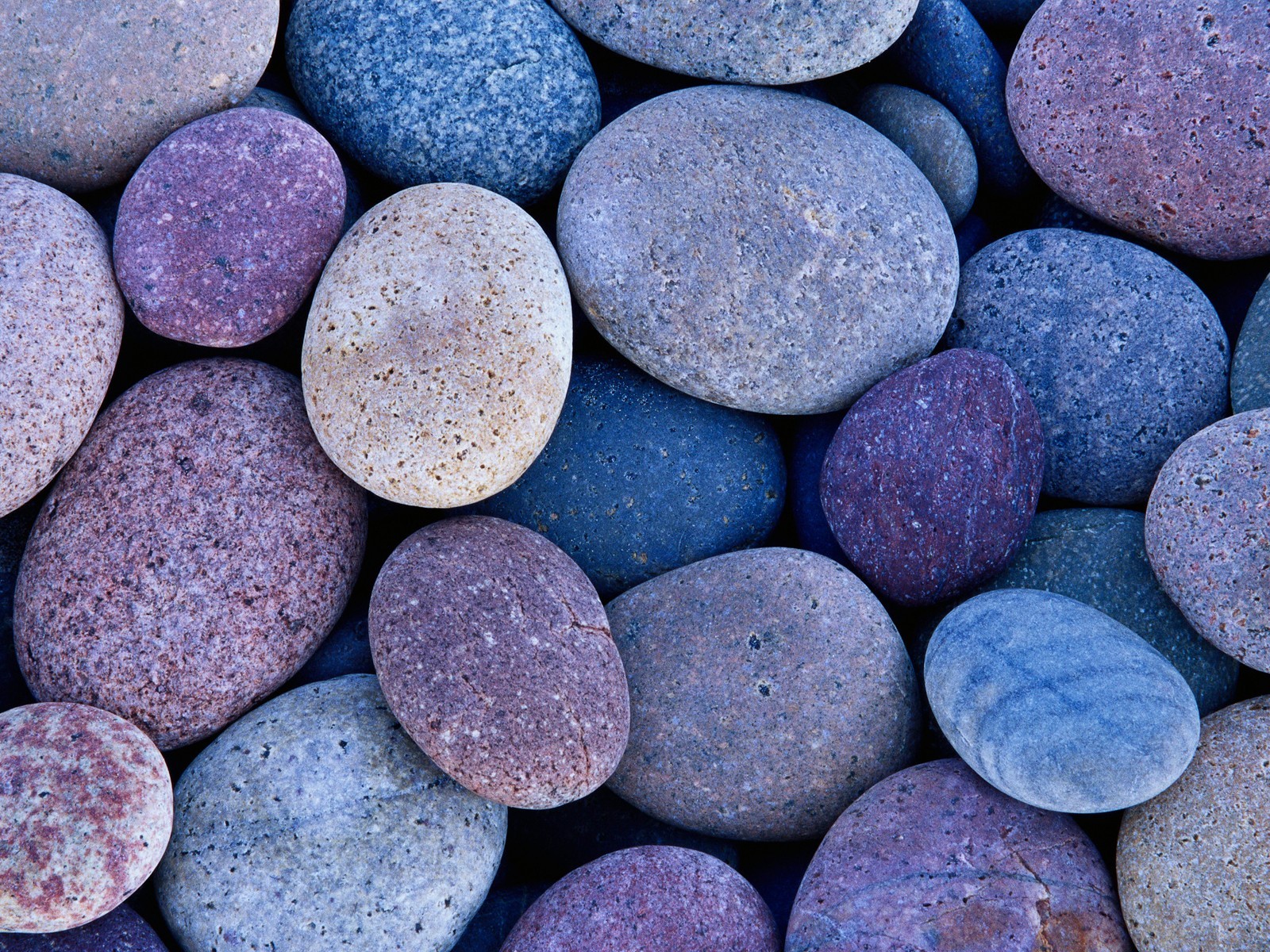 pebbles stones blue purple