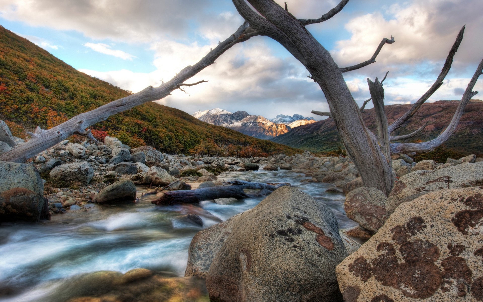 pietre fiume ramo montagne