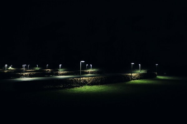 Las linternas en el parque nocturno iluminan los arbustos y la hierba
