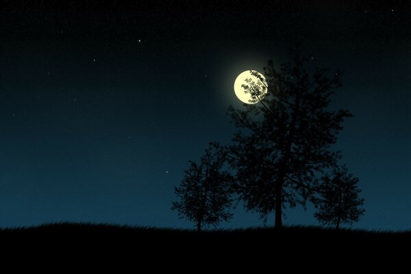 Luna piena nascosta dietro un albero