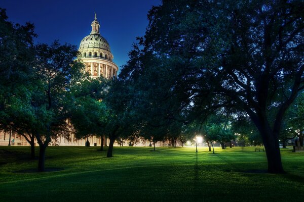 Evening photo of the Capitol behind the trees