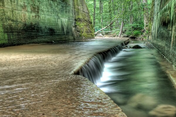 Natural landscape with water in green tones