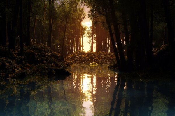 Le coucher de soleil se reflète dans une rivière forestière entourée d arbres