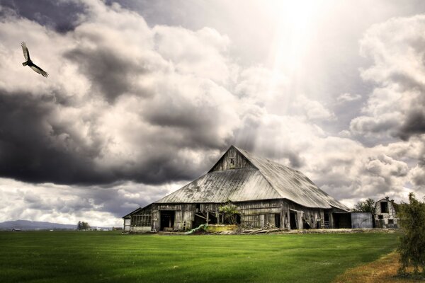 An eagle soaring in the clouds over an old barn