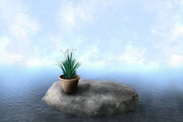 A lonely pot with a flower standing on a stone, and around the water