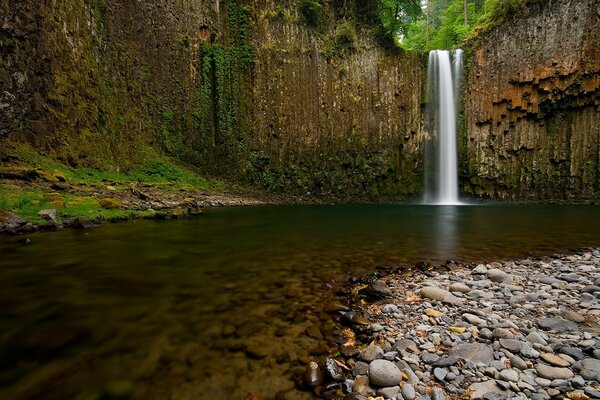 Forest waterfall in a river with a stone bottom