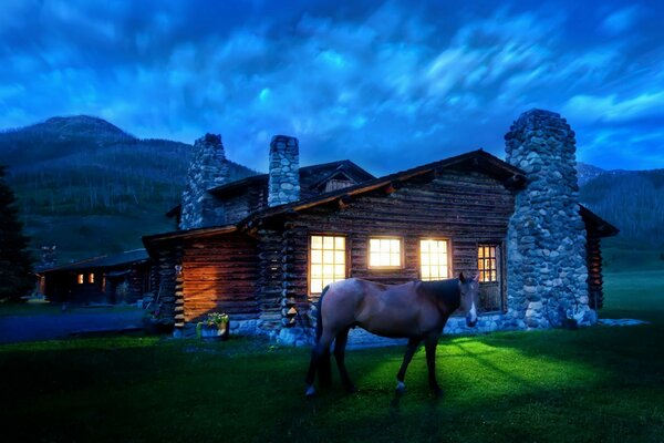 Pferd auf dem Hintergrund eines gemütlichen Hauses