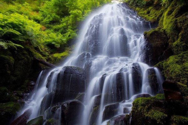 Hermosa cascada sobre piedras rodeada de vegetación