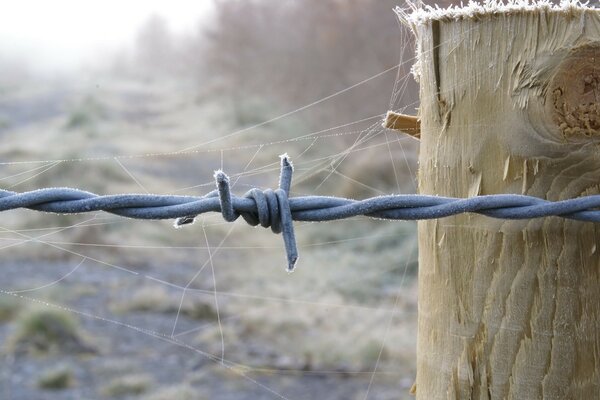 A web twisted on a wire on a post