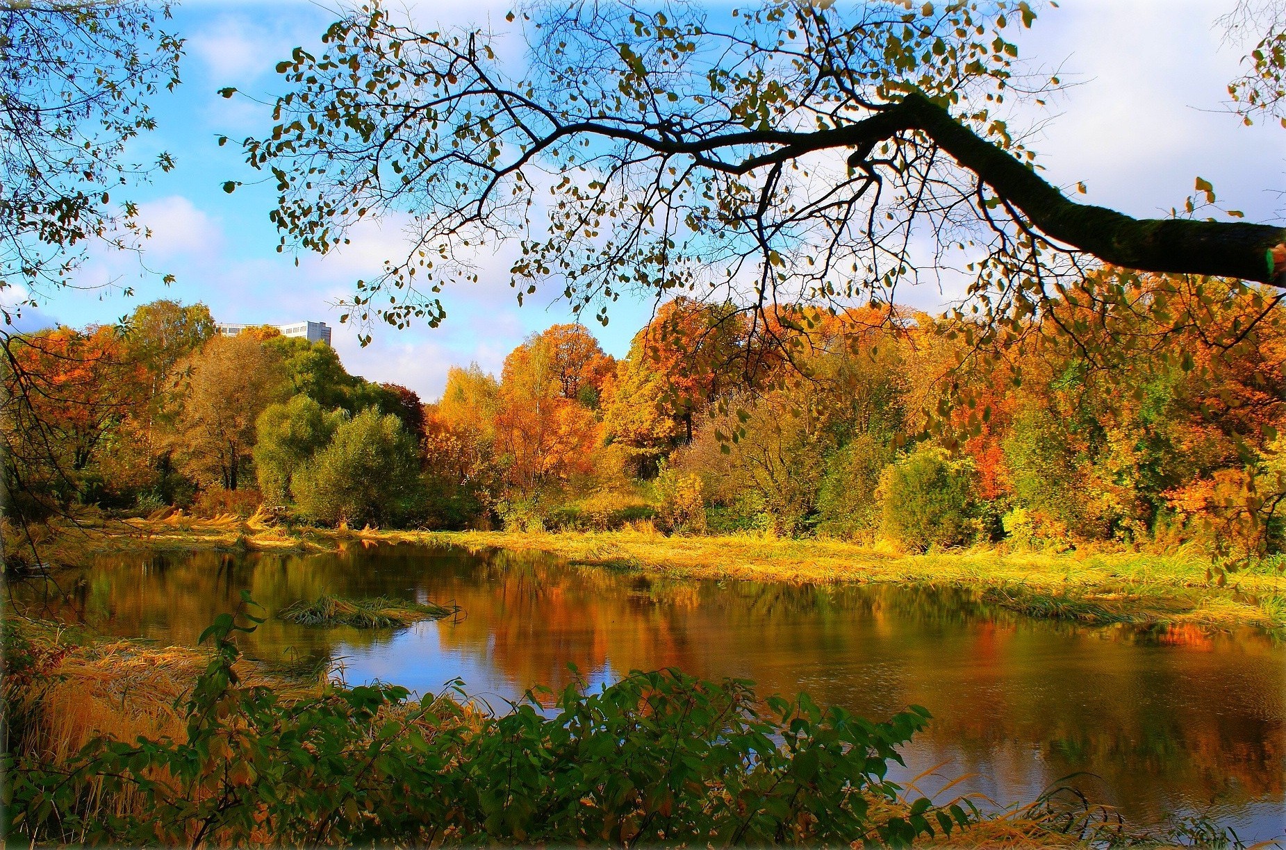 otoño bosque río