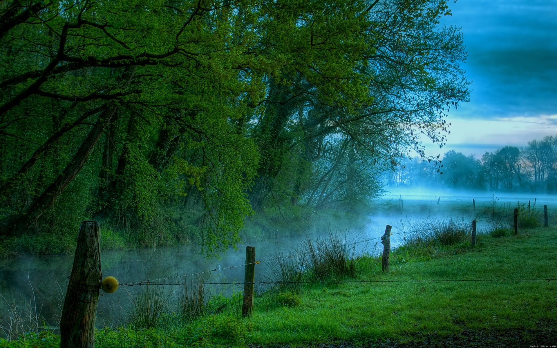 mañana prado río niebla