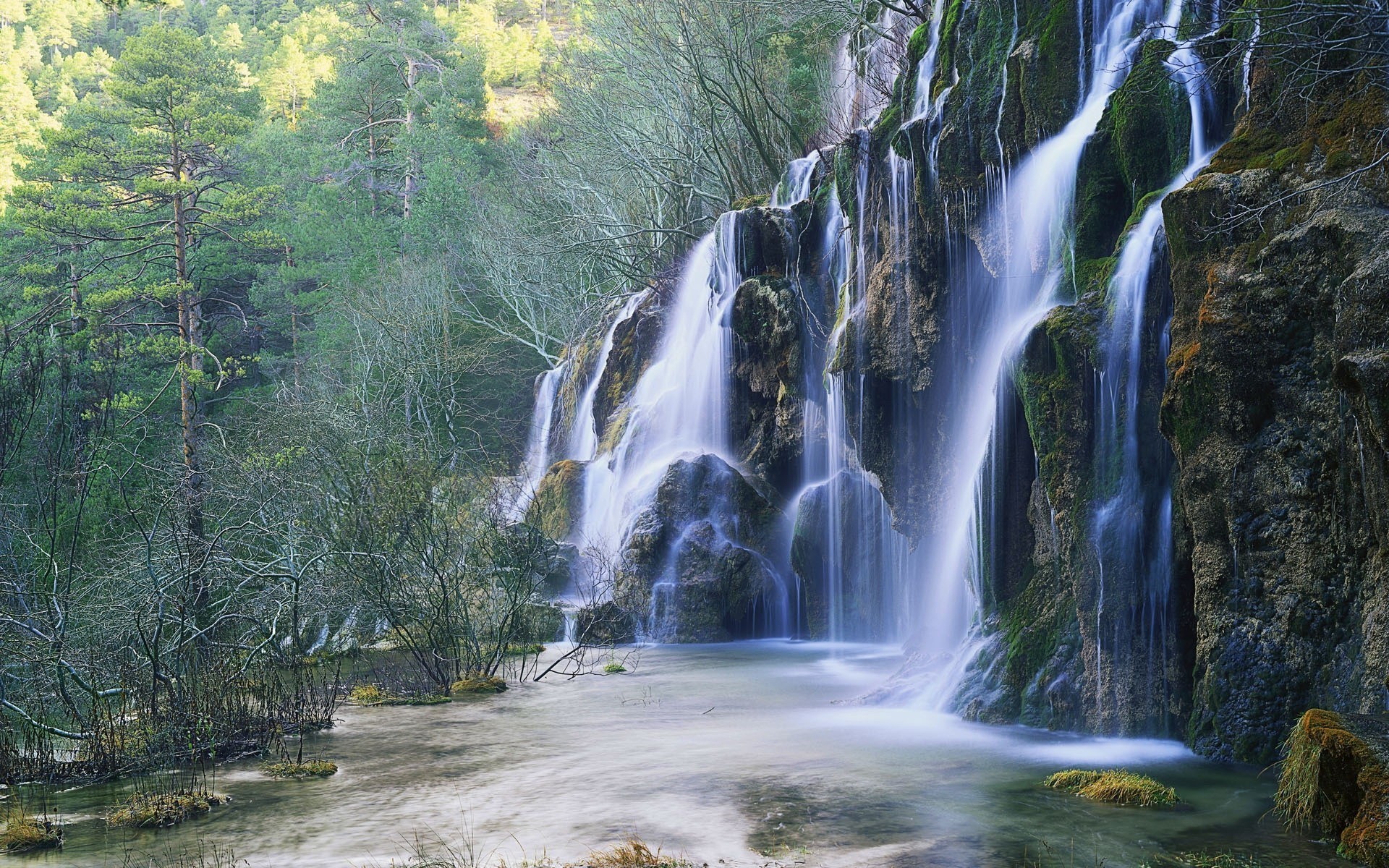 cascade arbres forêt