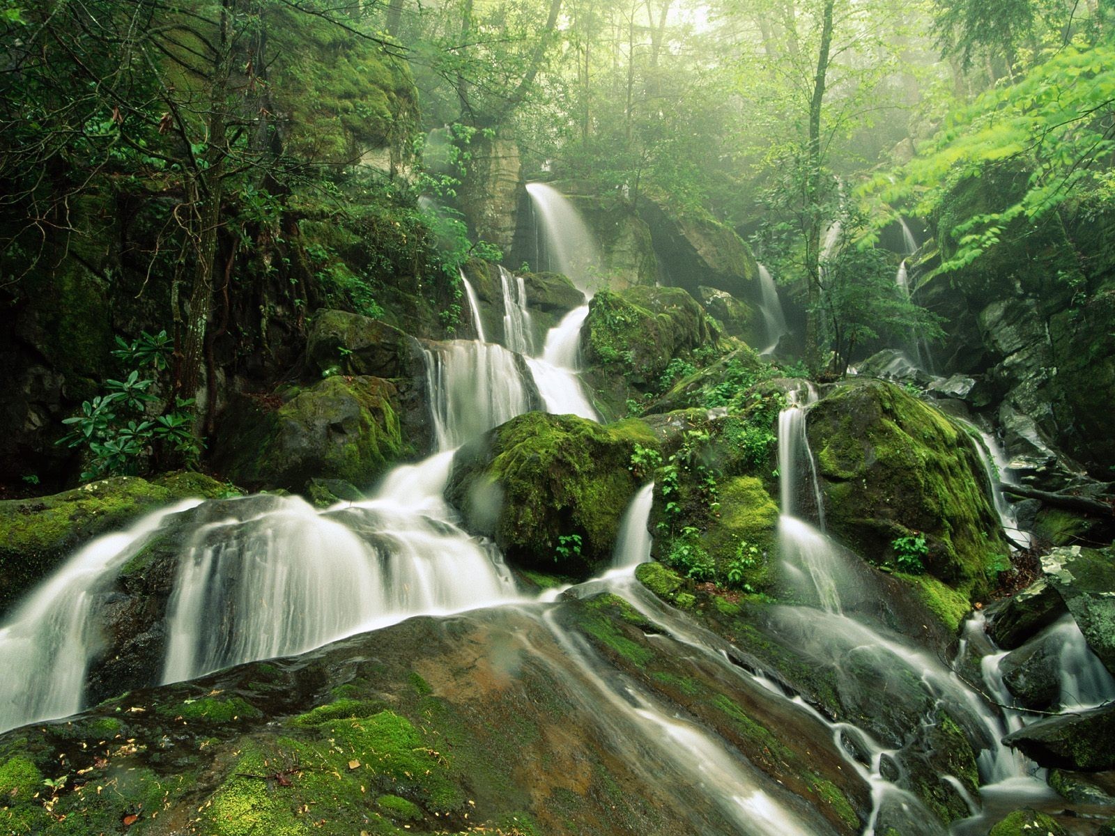 cascada piedras árboles bosque verde