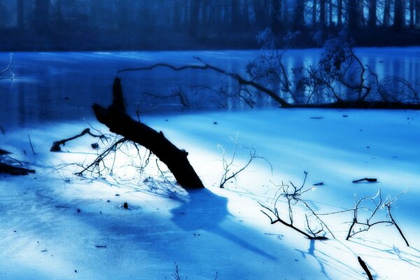 Orilla del río en invierno. Madera flotante en la nieve