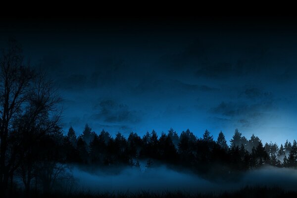 The night forest is covered with fog