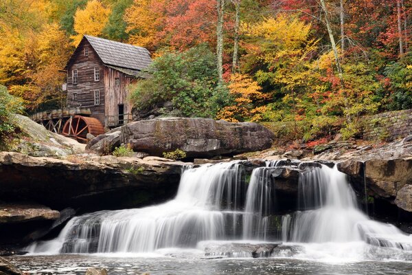 Beautiful autumn park. Waterfall