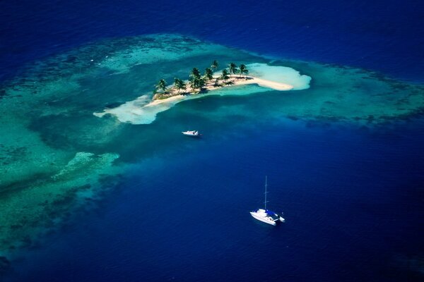 Isola di Po in mezzo al mare con alberi