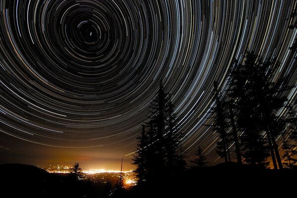 Spirali sullo sfondo del cielo e alberi notturni