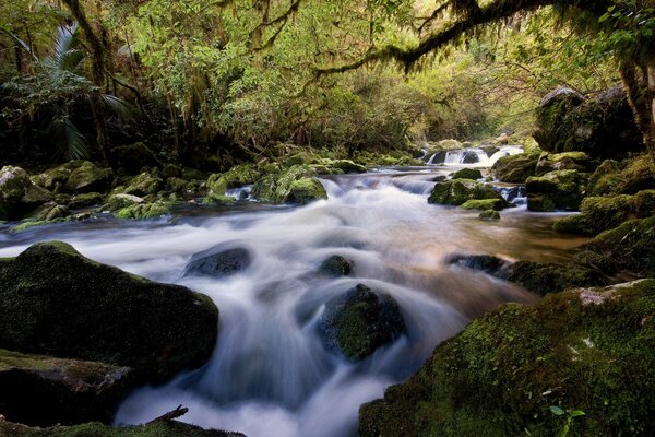 Río de montaña en medio de un paisaje pintoresco