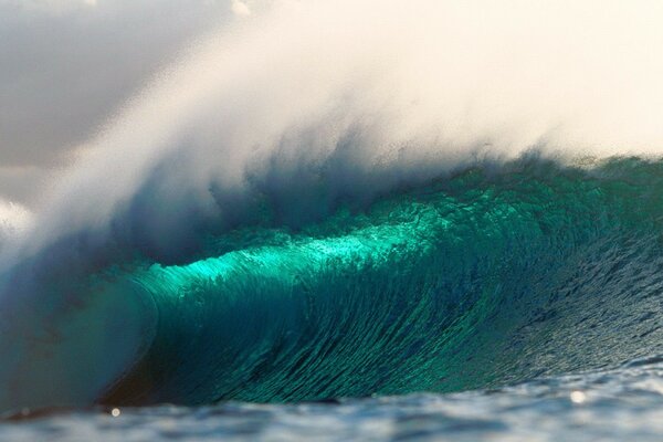 A huge wave in an ocean of azure color