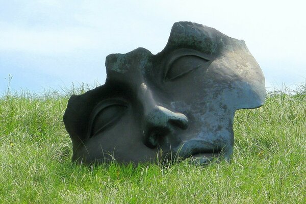 Statue eyes nose grass