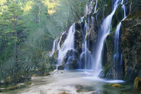 Cascada rocosa contra el bosque