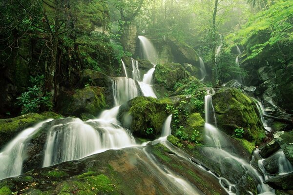 A long waterfall over rocks in the forest