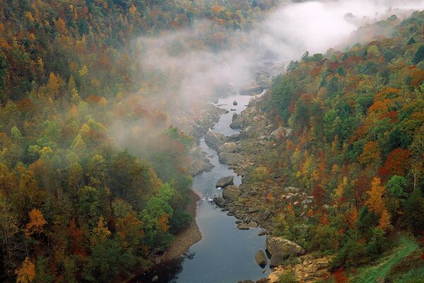 La niebla se disipa sobre el río de montaña