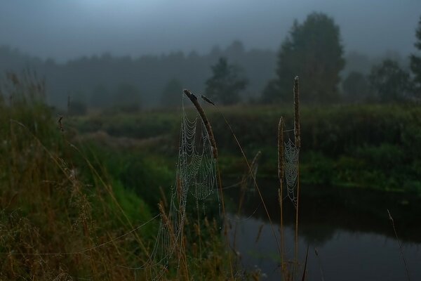 Mattina fresca d autunno sulla riva del fiume